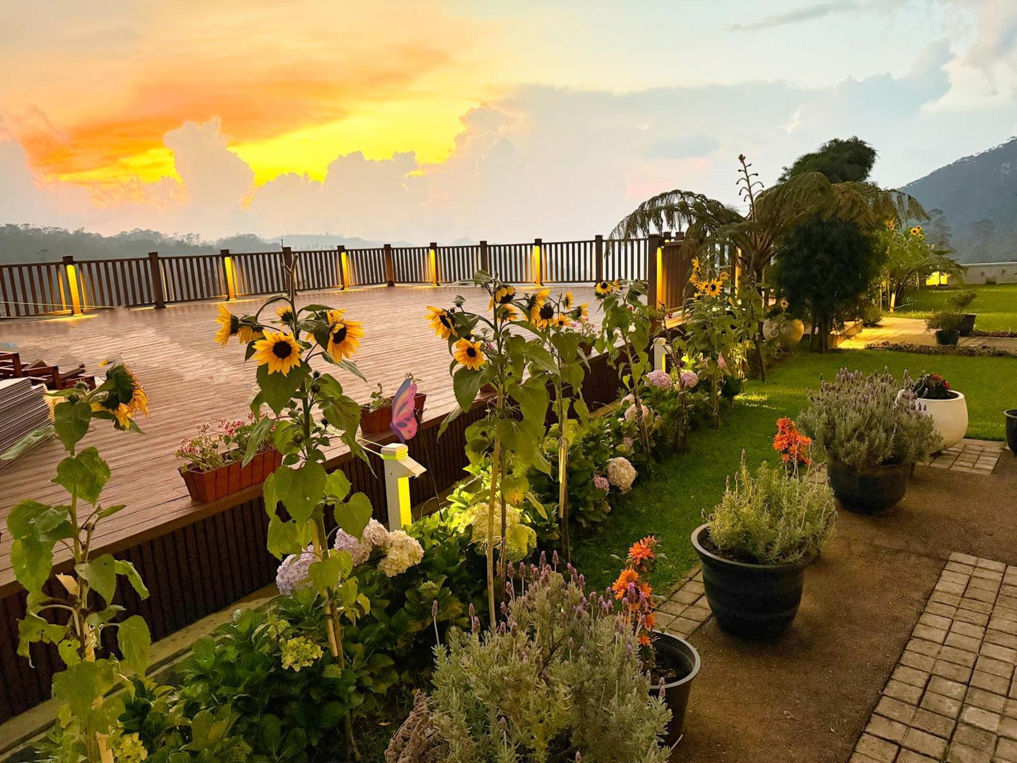 Hilldale Retreat Villa Nuwara Eliya Ngoại thất bức ảnh